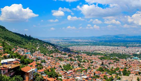 Bursa